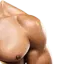 Épaules