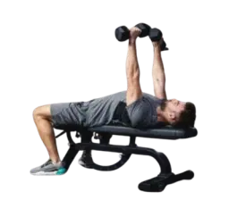 Gym (Entraînement avec machines, poulies et poids libres)